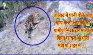 ऐसा कैसा बाघ संरक्षण! सिवनी जिले में तालाब में पानी पीने गए बाघ के दो शावकों को ग्रामीणों ने पत्थर मार किया घायल, उधर, प्रभारी मंत्री थे सिवनी शहर में . . .