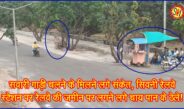 सवारी गाड़ी चलने के मिलने लगे संकेत, सिवनी रेलवे स्टेशन पर रेलवे की जमीन पर लगने लगे चाय पान के ठेले!