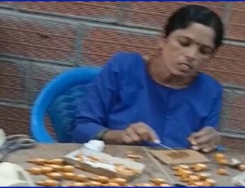 कर्नाटक के बंग्लुरू के पास चन्ना पटना शहर में बनते हैं लकड़ी के बेहतरीन खिलौने