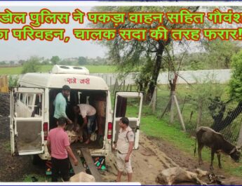 बंडोल पुलिस ने पकड़ा वाहन सहित गौवंश का परिवहन, चालक सदा की तरह फरार!